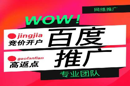百度推广服务费使用全攻略：从入门到精通